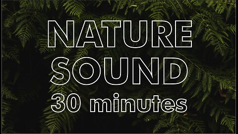 NATURE SOUND for RELAX MOMENT 30 MINUTES