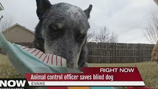 Animal control officer saves blind dog