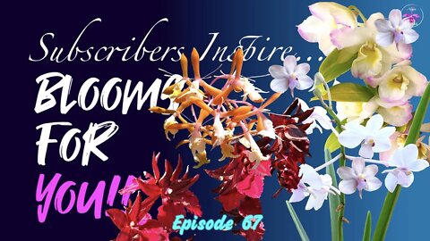 SUBSCRIBERS INSPIRE| You color my life | Blooms for YOU! Episode 67 🌸🌺🌼💐#Orchids #OrchidsinBloom