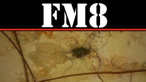 FM8 - THE WEAVING OF FOREIGN THREADS