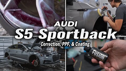 B9 Audi S5 Sportback | New Car Prep! Correction, PPF, & Coating! | CRAZY How Clean a Car can GET!!