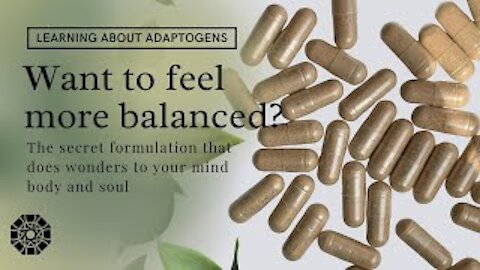 ASHWAGANDHA EXPLAINED: What is Ashwagandha | How It Works | Which adaptogens is right for you?