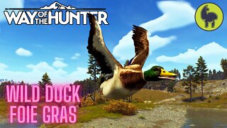 Wild Duck Foie Gras | Way of the Hunter (PS5 4K)