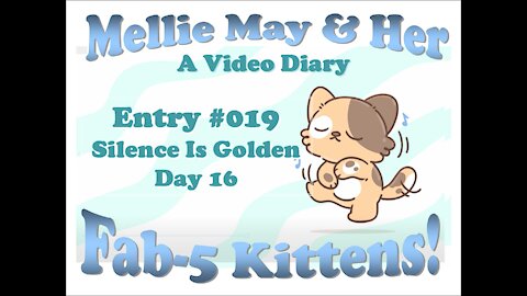 Video Diary Entry 019: Silence Is Golden -Day 16