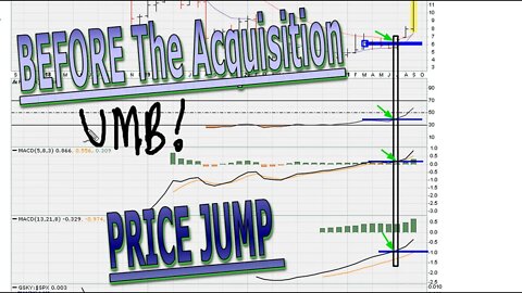 Before The Acquisition Price Jump - #1444