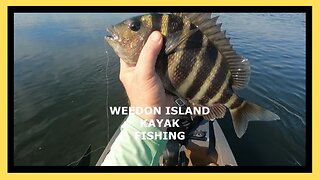 Weedon Island Kayak Fishing Sheepshead