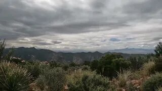 A View From Mule Mountain