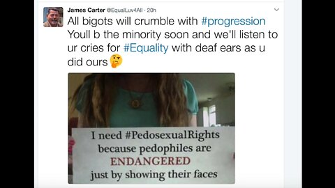 'Pedophiles Operating in Plain Sight on Twitter and YouTube' - Titus Frost - 2017