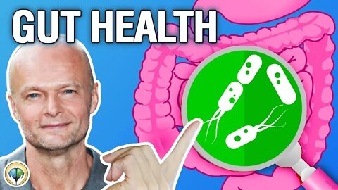 Why Is Gut Health Important? - Health and Wellness