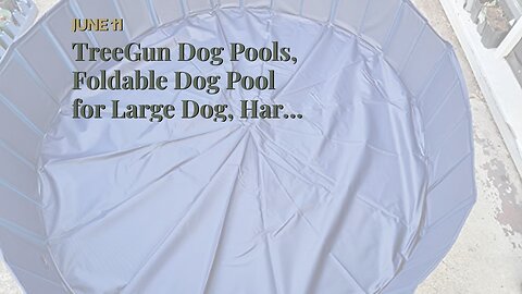 TreeGun Dog Pools, Foldable Dog Pool for Large Dog, Hard Plastic Dog Swimming Pool, Anti-Slip D...