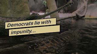 Democrats lie with impunity…
