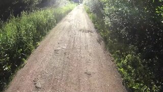 Cycling; forest path to water line 21.6.2020