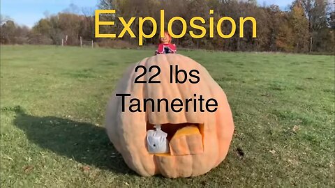 Giant Pumpkin Explodes #tannerites #explodes #pumpkin #giantpumpkin