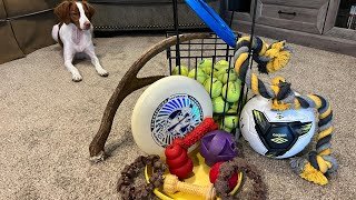 What Dog Toys Do Brittany Spaniels Like (Hard Chewers)