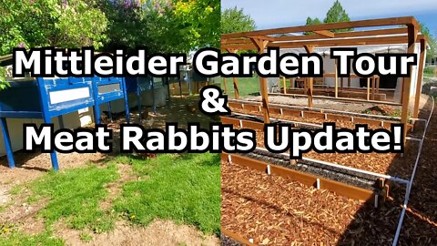 Mittleider Garden Tour & Meat Rabbits Update!