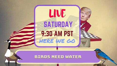 Saturday *LIVE* Birds Need Water Edition