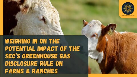 Weighing in on the Potential Impact of the SEC’s Greenhouse Gas Disclosure Rule on Farms & Ranches