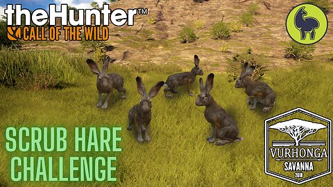 Scrub Hare Challenge, Vurhonga Savanna | theHunter: Call of the Wild (PS5 4K)