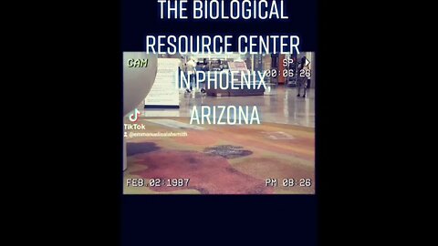 Re-Post With Subtitles Gang-stalking in Action : The Biological Resource Center