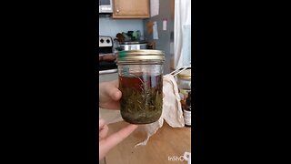 Straining My Antibiotic Tincture