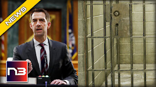 Sen. Tom Cotton Makes it CLEAR: Political Beliefs Have NO Room in the Justice System