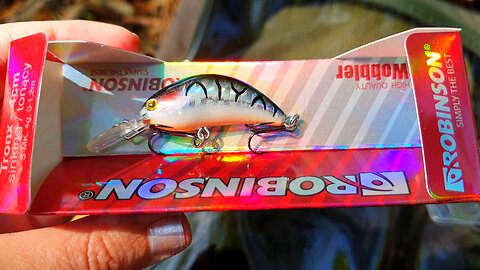 Wobbler Robinson Tronx S40, excellent lure for chub fishing