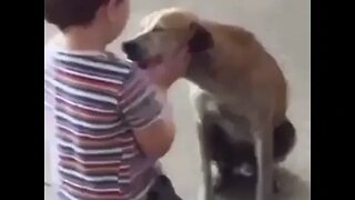 SPECIAL MOMENT - A Boy and His Dog