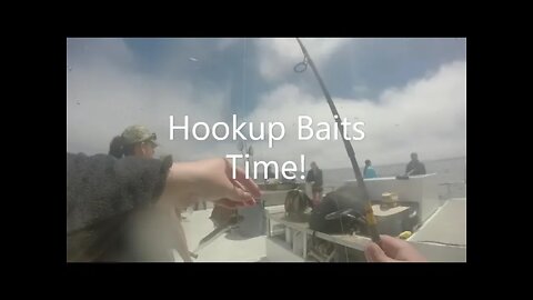 Daily Double Sportfishing Calico Bass fishing using #hookupbaits