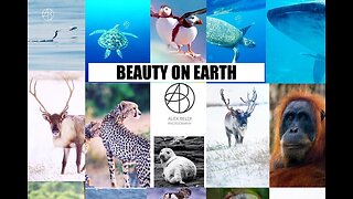 Beauty on Earth in 30 seconds #Shorts