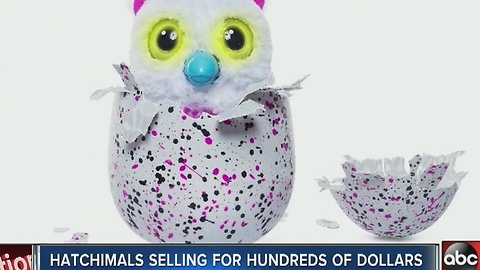 Hatchimals selling for hundreds of dollars