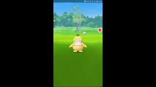 Live Pokémon GO - Evento Dia da Amizade