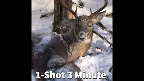 1-Shot Deer Hunting 2022: NEW!! Tip Of The Week! Deer Season Prep, 3 Tips To Make The Shot!