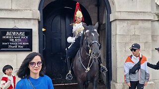 she was going to grab the reins #horseguardsparade