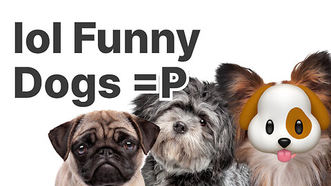 Can You Keep A Straight Face? Hilarious Dog Antics 🤣 Adorable Pups Compilation 🐶