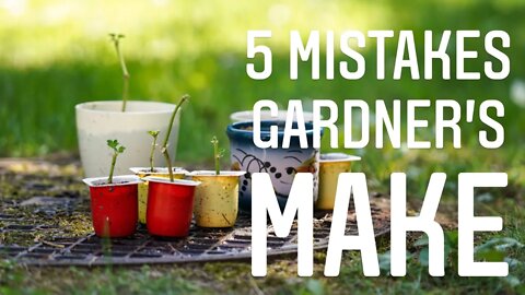 FIVE COMMON MISTAKES GARDENERS MAKE WHEN STARTING SEEDS. How to fix common seedling issues video.