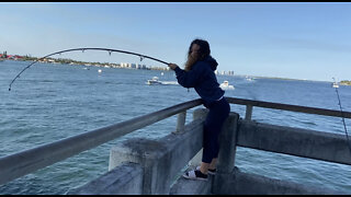 PIER FISHING FLORIDA !