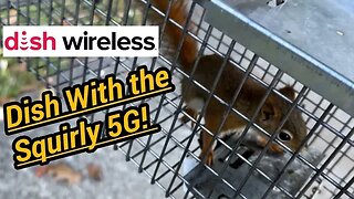 Dish 5G & Project Genesis: Some Squirrelly Network Testing!