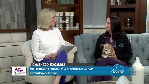 Health & Rehabilitation // Urban Paw