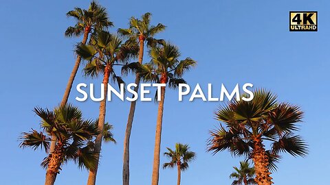 Golden Sunset Palms 🌅🌴 Relaxing Ocean Waves, Children's Laughter, and Birdsong