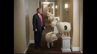 LIBtards + TRUMPtards = Shattered America for the Sheeple against the Sheeple by the Sheeple