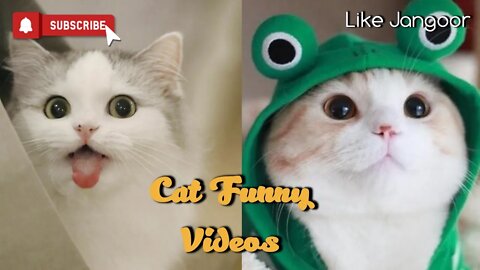 Baby Cats - Cute and Funny Baby Cat Videos Compilation 😹 #2