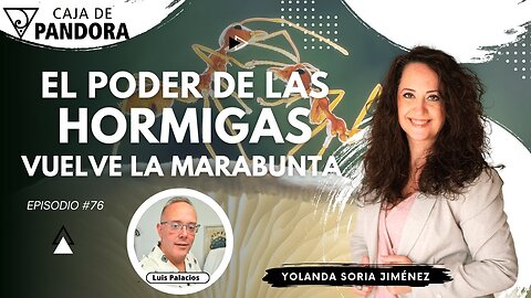 EL PODER DE LAS HORMIGAS. VUELVE LA MARABUNTA con Yolanda Soria