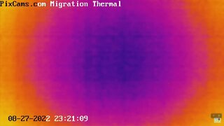 Night migrating birds on thermal camera - 8/27/2022 @ 23:19 - 33 birds in 10 minutes