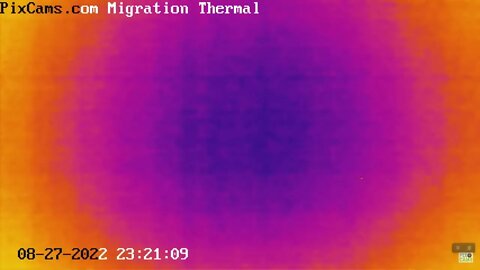 Night migrating birds on thermal camera - 8/27/2022 @ 23:19 - 33 birds in 10 minutes