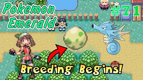 Breeding Begins! Pokémon Emerald - Part 71