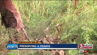 Council Bluffs brush removal