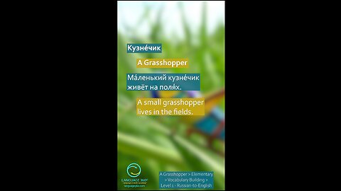 A Grasshopper: Russian-to-English #shorts