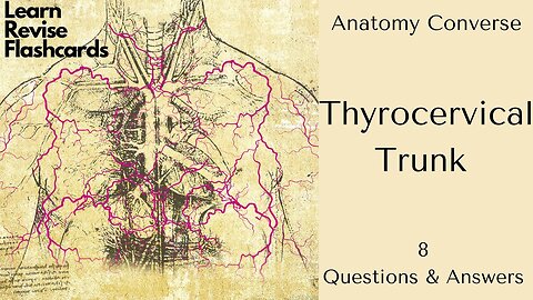Thyrocervical Trunk Anatomy Flashcards | 8 Questions and Answers