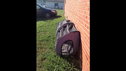 K&H PET PRODUCTS Travel Safety Pet Carrier