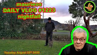 maurieos DAILY VLOG #1223 nightfall